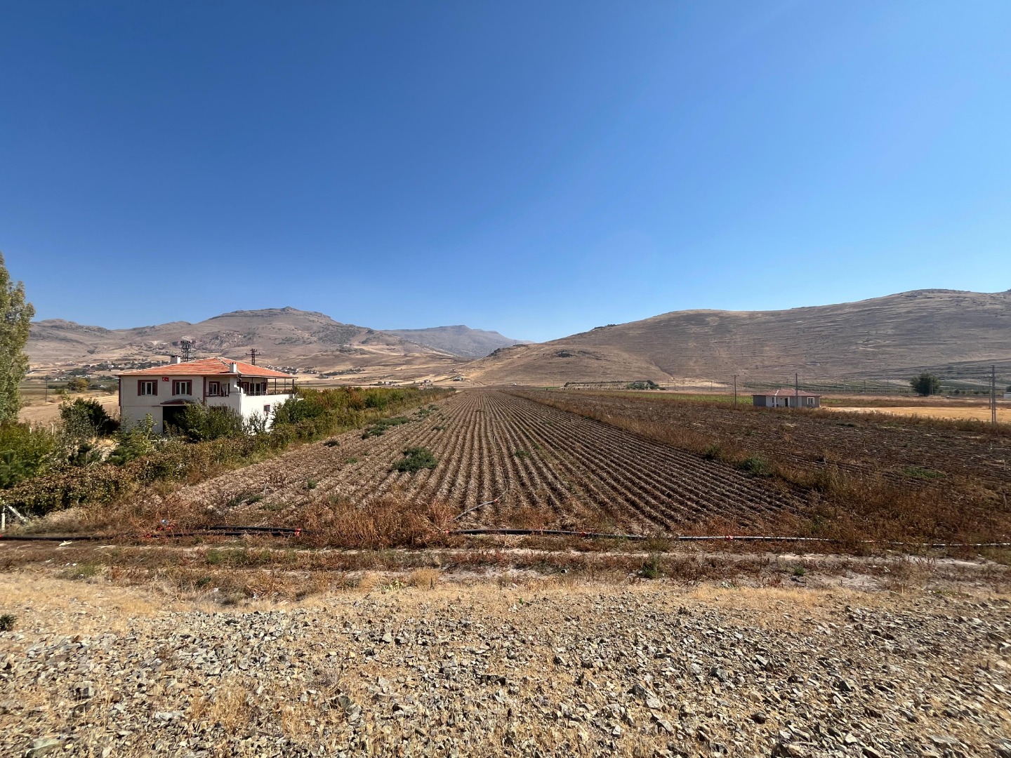 KAYSERİ DEVELİ TOMBAK MAHALLESİ KARIKLIK MEVKİİNDE SATILIK TARLA